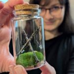 Boucles d'oreille Clarinette - Prévente – Image 2